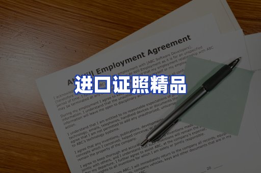 进口证件页面制证